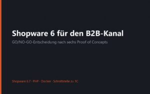 Shopware 6 für den B2B-Kanal: Entscheidung mit Belegen